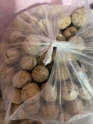 подарки на 14 февраля девушке бишкек: Продаю орехи !!!