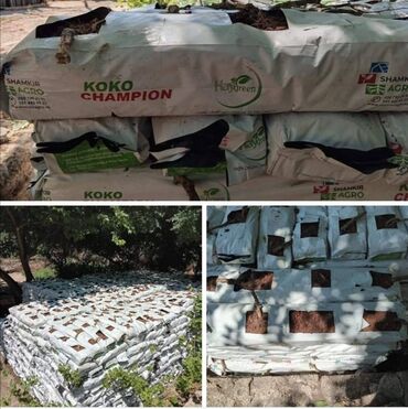 Kakabit: Kakabitler. Koko CHAMPİON Meşokun Biri 40 qəpik. Meşokda 2 kq olur -da lalafo.az — 9 Kakabit: Kakabitler. Koko CHAMPİON Meşokun Biri 40 qəpik. Meşokda 2 kq olur — 9