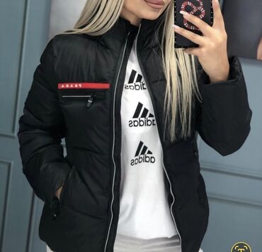 Kurtkalar: Kurtkalar
