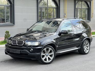 BMW: BMW X5: 2003 г., 4.6 л, Автомат, Бензин, Внедорожник