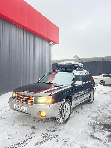 Subaru: Subaru Forester: 2004 г., 2.5 л, Типтроник, Газ, Внедорожник — 21