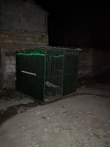 it sekli: Metalkarkas heyvan qəfəsi / açıq hava volyeri - Material: tam metal — 1