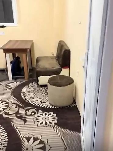 studio ev kiraye: RAMANI SUSA QESEBESI Kirayə üçün 1 otaqlı mənzil (studyo tipli plan) — 2