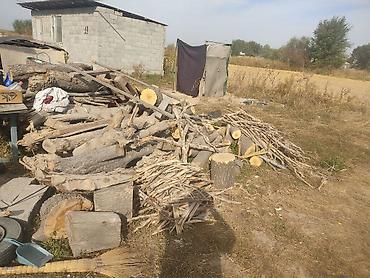 Дрова: Дрова Бесплатная доставка — 4