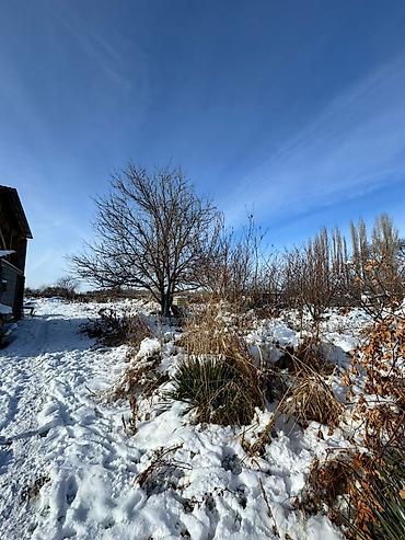 Продажа участков: 30 соток, Для бизнеса, Красная книга, Тех паспорт, Договор купли-продажи at lalafo.kg — 3 Продажа участков: 30 соток, Для бизнеса, Красная книга, Тех паспорт, Договор купли-продажи — 3
