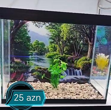 akvarium qiymetleri: Akvaryum dekor seti - Şüşə akvarium üçün dekorativ fon: çay və meşə — 1
