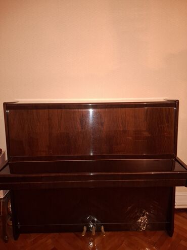 Gitaralar: Piano, Petrof, Akustik