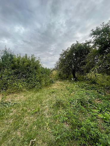 69 га: 30 соток, Для сельского хозяйства — 6