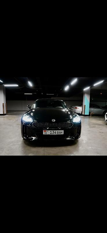 киа стрингер: Kia Stinger: 2019 г., 2 л, Автомат, Бензин, Лифтбек — 2