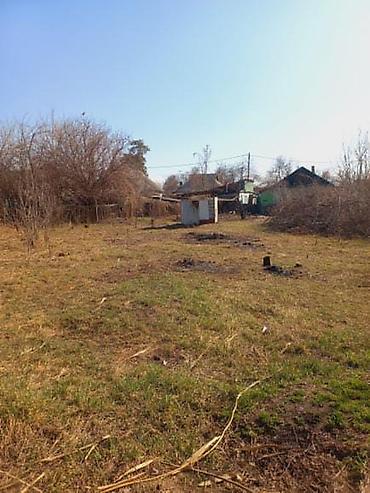 Продажа коттеджей и домов: Продаётся жилой дом с большим земельным участком.9.5сотых 6 комнат все at lalafo.kg — 2 Продажа коттеджей и домов: Продаётся жилой дом с большим земельным участком.9.5сотых 6 комнат все — 2