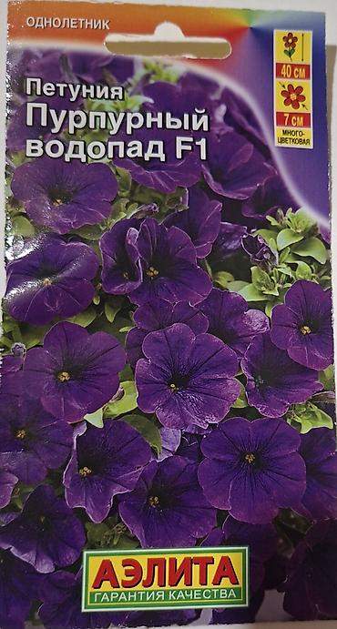 tut agaci calaq: Məhsul: Petuniya toxumları – AELITA (garantiya keyfiyyəti), bəzi — 9