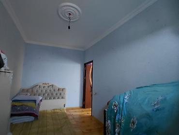 platin satışı: TECILI KIRAYE VERILIR. Aile ucun sirket emekdaslari ucun ferq etmez — 6