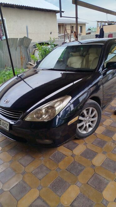 гонда жаз: Toyota Windom: 2002 г., 3 л, Типтроник, Газ, Седан