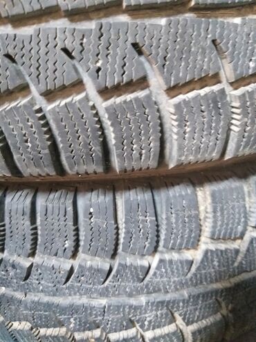 шины бишкек дордой: Шиналар 195 / 65 / R 15, Кыш, Колдонулган, Комплект, Жеңил коммерциялык транспорт (C/LT), Германия, Cordiant