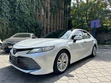 camry: Toyota Camry: 2019 г., Типтроник, Бензин