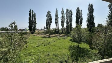 Продажа домов: Дом, 41 м², 2 комнаты, Собственник, Старый ремонт at lalafo.kg — 3 Продажа домов: Дом, 41 м², 2 комнаты, Собственник, Старый ремонт — 3