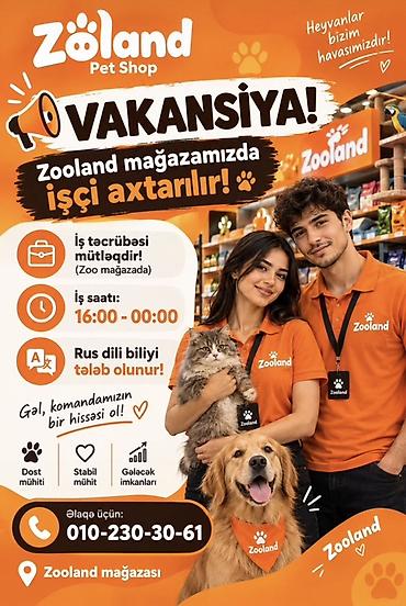 чобан ити: Zooland Pet Shop – Vakansiya Mağazamızda işçi axtarılır! Tələblər: - — 1