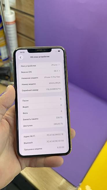 Apple iPhone: IPhone 11 Pro Max, Б/у, 256 ГБ, 95 % — 12