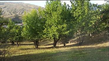 ismayılı: 6 sot, Tikinti, Mülkiyyətçi, Kupça (Çıxarış) — 2