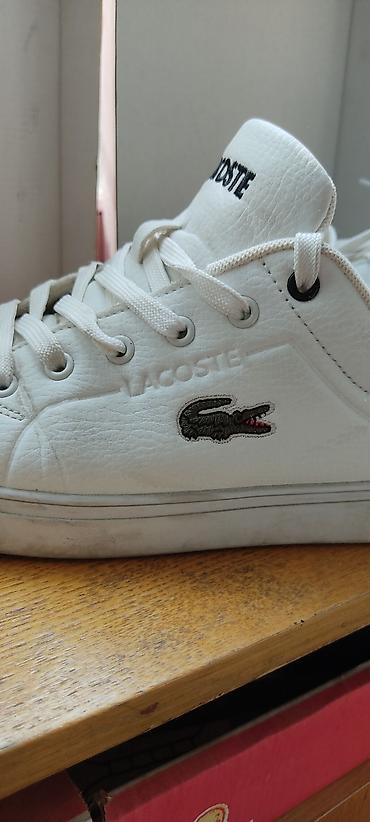 крок: Кеды Lacoste, белые. 1000сом. 41размер. Состояние отличное — 3