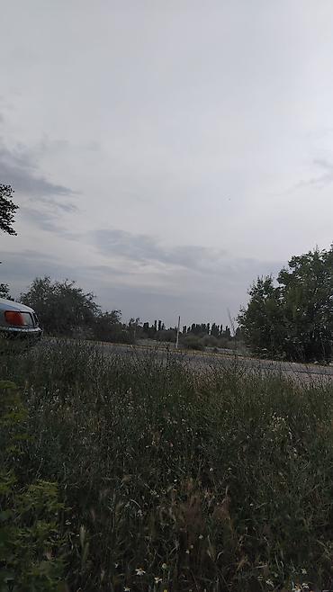 участок 5: 129 соток — 10