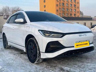BYD: BYD E2: 2023 г., 0.1 л, Автомат, Электромобиль, Хэтчбэк — 3