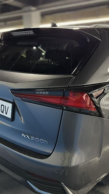 byd e3: Lexus NX: 2020 г., Гибрид, Кроссовер — 5