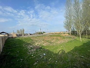 Продажа складов и мастерских: Продается территория 0,81 га На территории имеется: -Весовая с — 10