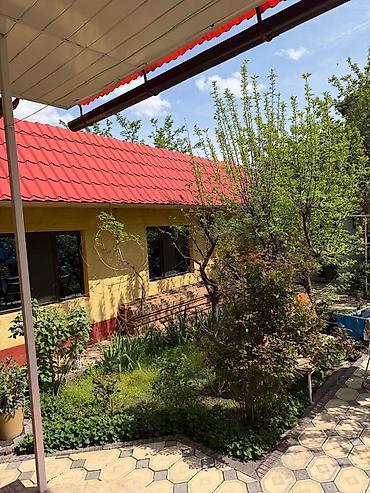 Дома: 54 м², 1 комната, Рабочий Городок, Без животных — 2