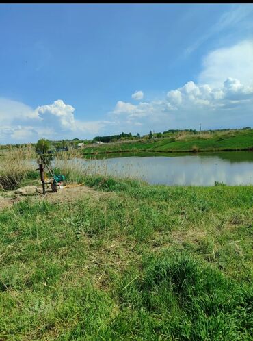 Продажа участков: 600 соток, Для бизнеса, Красная книга — 22