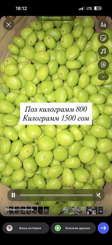Абрикосы: Абрикосы В розницу — 20