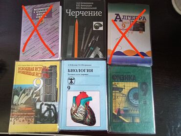 Другие учебники: Комплект из шести школьных учебников по различным предметам. В набор