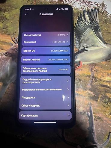 teyes бишкек: Redmi, Redmi 12, Колдонулган, 256 ГБ, түсү - Кара, 2 SIM — 3