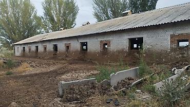 Продажа сельхоз предприятий: 20200 соток, Действующий, Электричество, Холодная вода at lalafo.kg — 8 Продажа сельхоз предприятий: 20200 соток, Действующий, Электричество, Холодная вода — 8