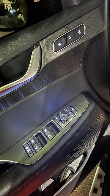 es300: Hyundai Palisade: 2019 г., 2.2 л, Автомат, Дизель, Внедорожник — 10
