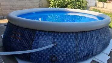 vrste palmi: Pool, Used, Paid delivery