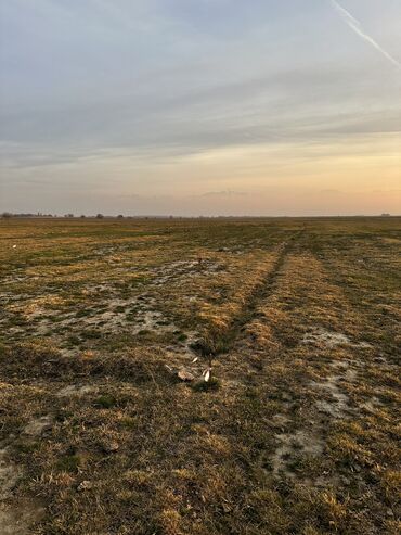 сарский село: 4 соток, Курулуш, Кызыл китеп, Сатып алуу-сатуу келишими