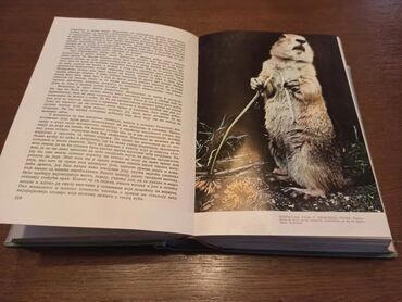 Knjige i stripovi: BREM Kako žive životinje Dobro očuvana knjiga iz 1967g. Izdavač — 15