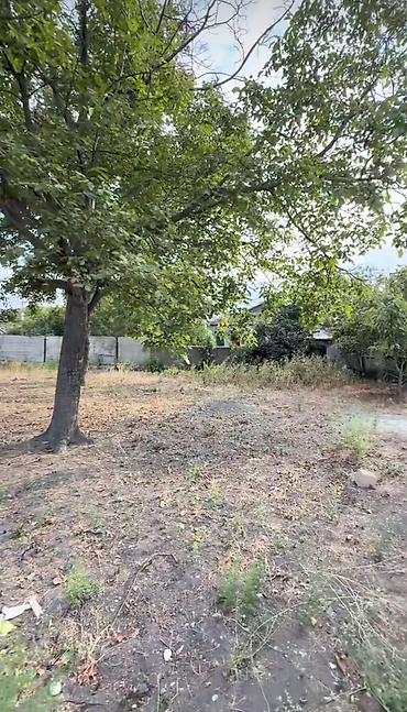 bine atciliq torpaq satilir: 10 sot, Tikinti, Barter mümkündür, Kupça (Çıxarış) — 9