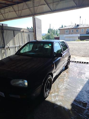 daf 95: Volkswagen Golf: 1993 г., 1.8 л, Механика, Газ, Седан — 5