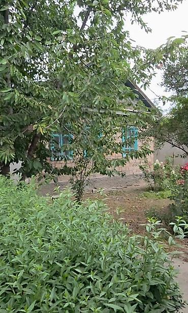 место отдыха: 🏡 Продаётся кирпичный дом с участком 14 соток в с. Маловодное Дом — 6