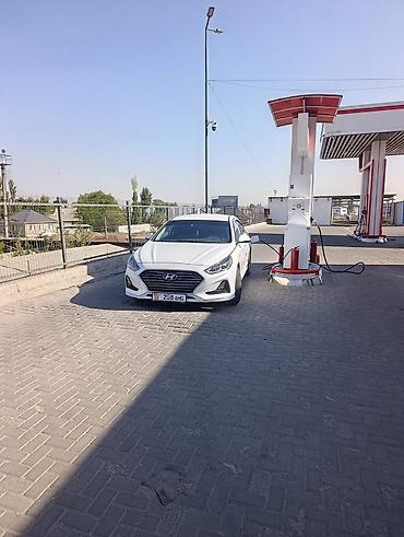 sonata: Hyundai Sonata: 2020 г., Седан — 4