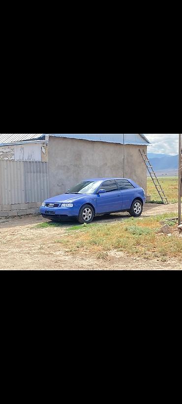 Audi: Audi A3: 1999 г., 1.6 л, Ручные, Бензин, Хэтчбэк — 3