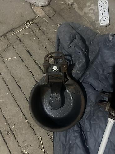 at satıx: 1 ədədi. 20 manat. Cugundu 8 denedir. Turbalarin özüm usdunde — 2