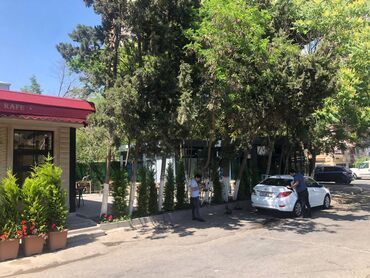 Restoran, kafelər: 28 may metrosuna yaxin 80 kv sahəsi olan kafe 3500azn icarəyə — 9