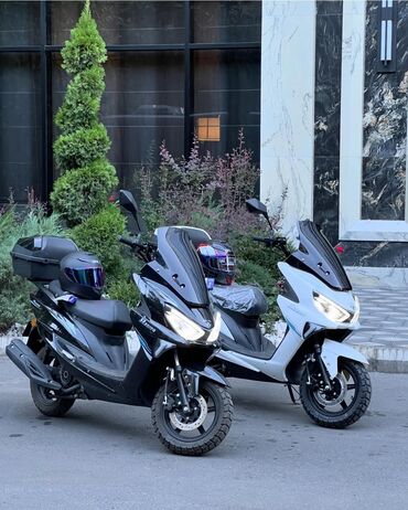 мотоциклы скутер: Макси-скутер Suzuki, 130 куб. см, Бензин, Жаңы, Бөлүп төлөө менен