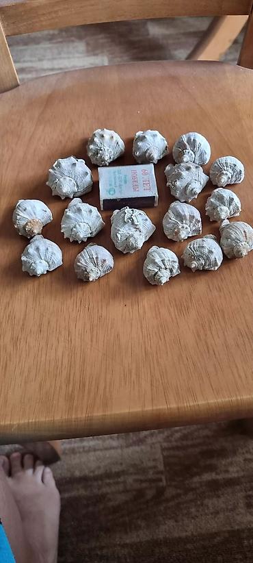 Воздуходувка: Вентилятор Напольный, Лопастной — 8