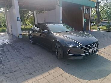 sonata дн8: Hyundai Sonata: 2020 г., Автомат, Газ, Седан — 2