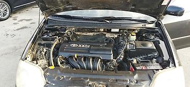 Toyota: Toyota Corolla: 2002 г., 1.6 л, Ручные, Бензин, Седан — 12