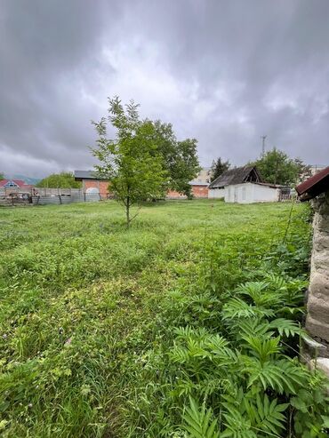 Torpaq sahələrinin satışı: 5 sot, Kənd təsərrüfatı -da lalafo.az — 9 Torpaq sahələrinin satışı: 5 sot, Kənd təsərrüfatı — 9